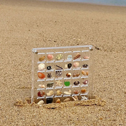 Wittiq Clear Acrylic Shell Organizer