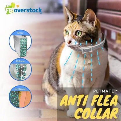 WittiQ Anti Flea Collar